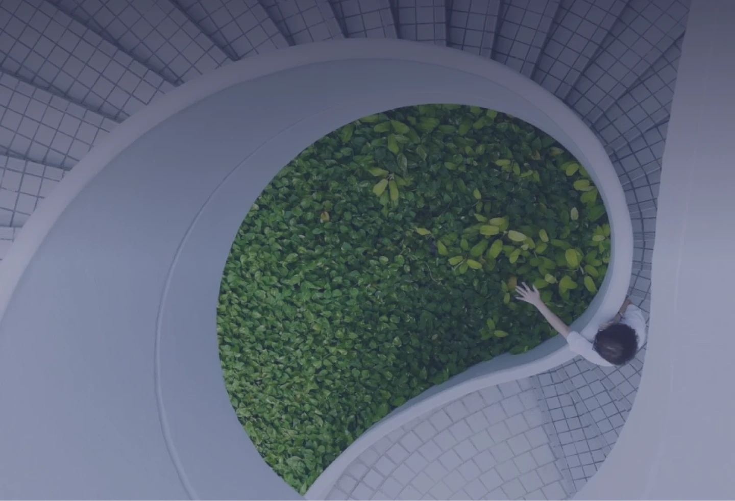 Planet Centric Innovation: reinventando los negocios en clave verde