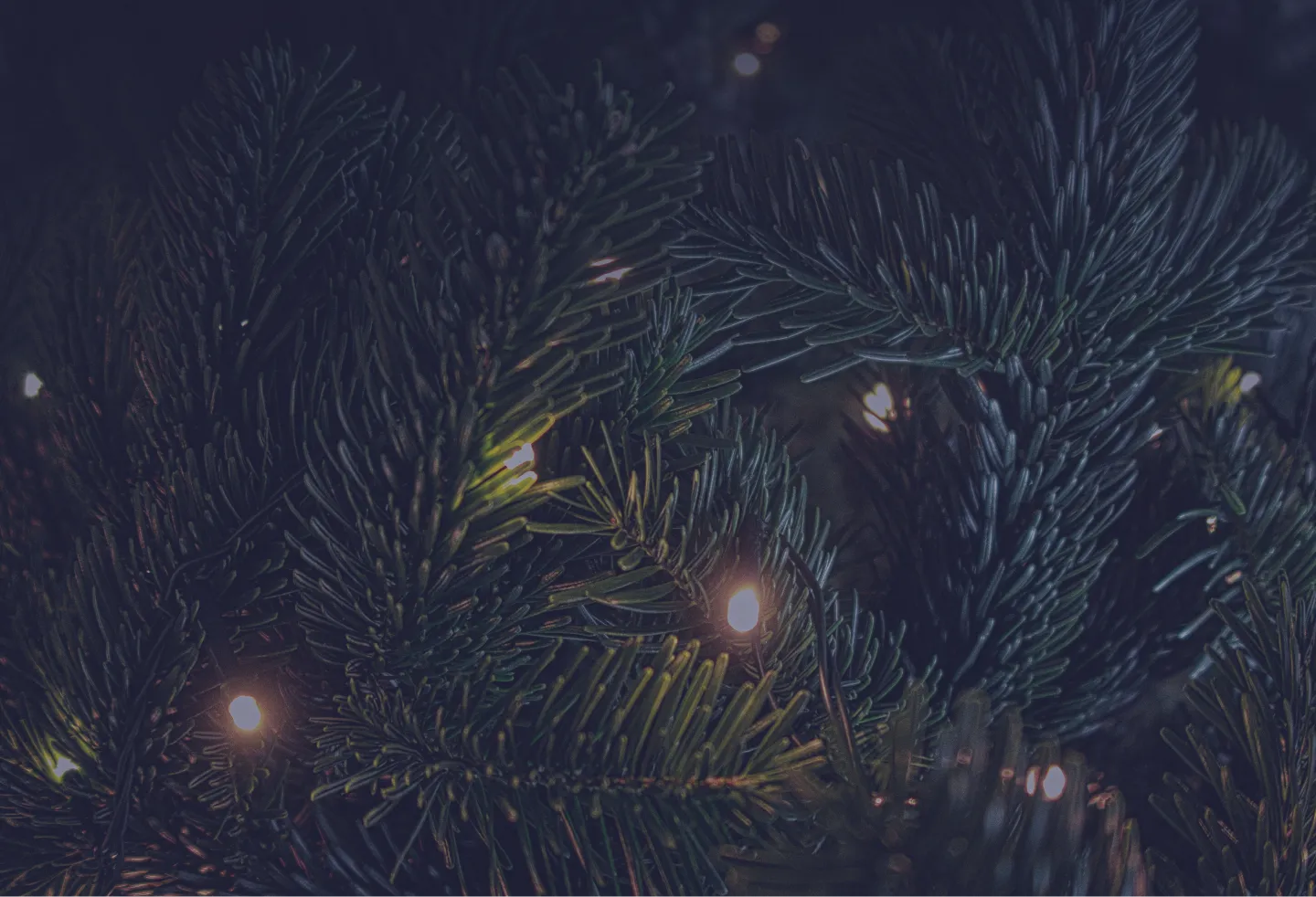 Un mes en matteria_ ¡Felices Fiestas!