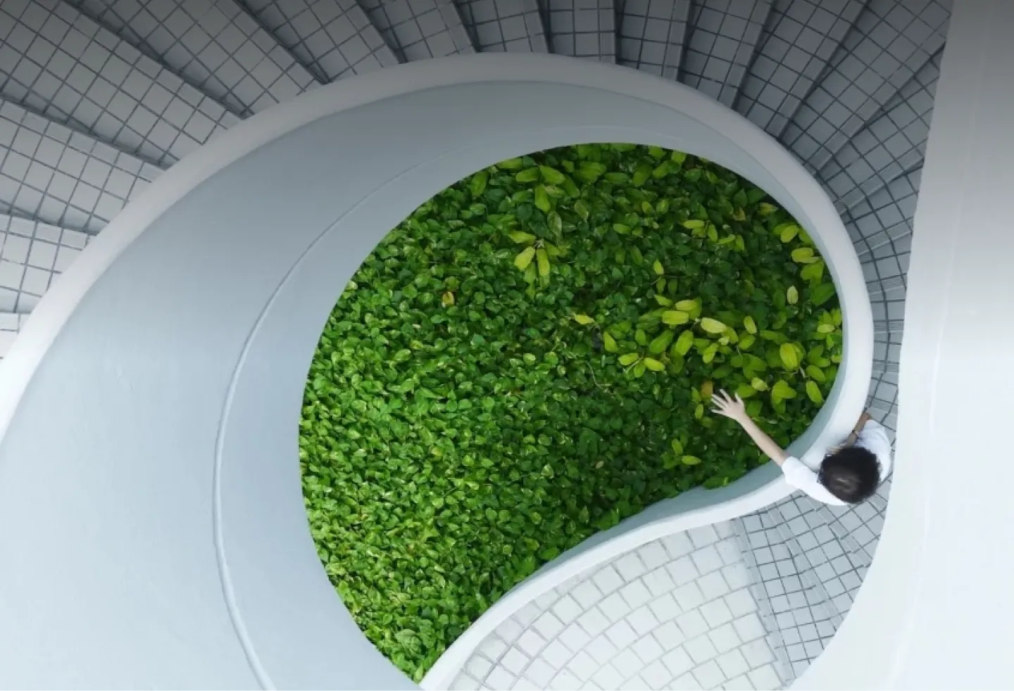 Planet Centric Innovation: reinventant els negocis en clau verda