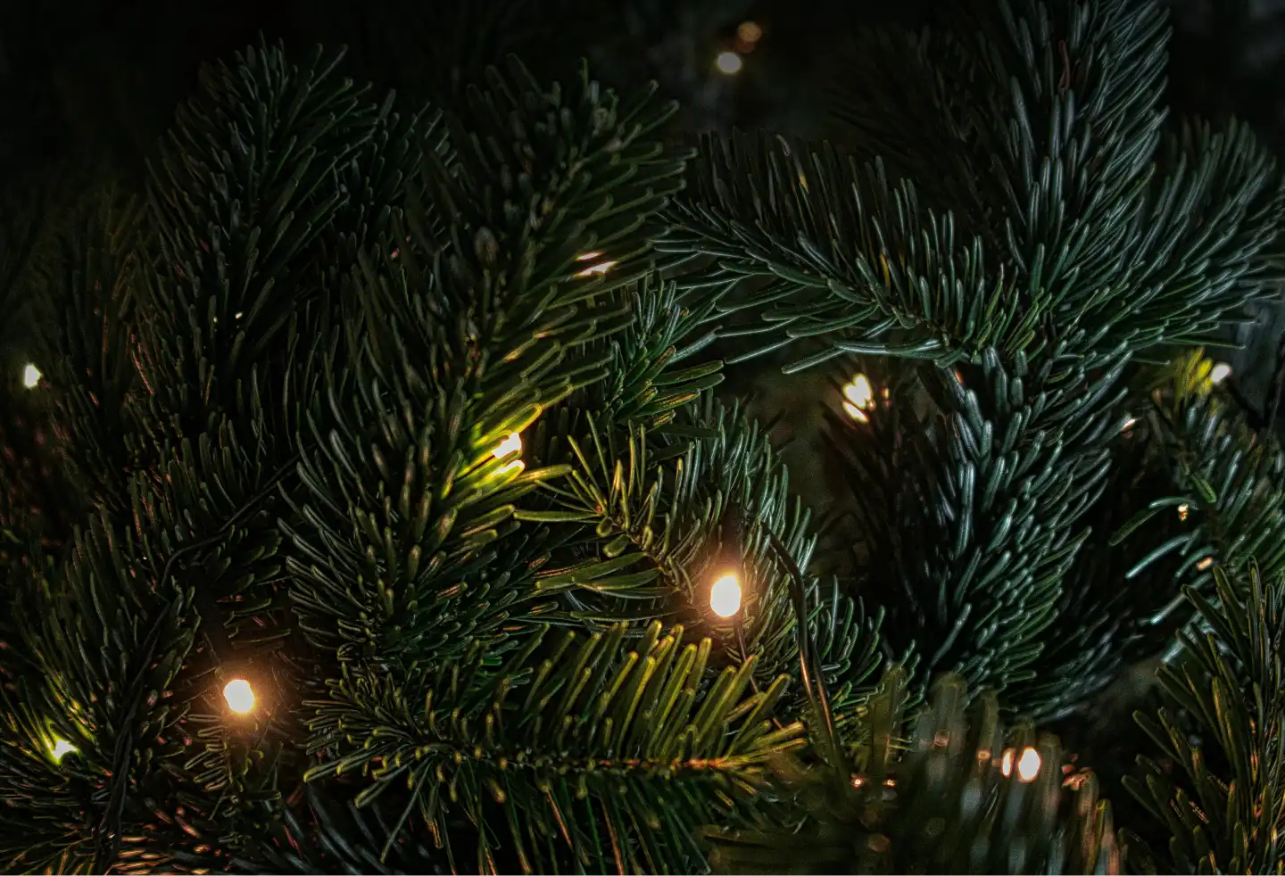 Un mes en matteria_ Bones Festes!